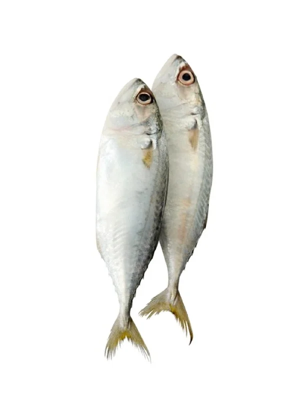 IKAN KEMBONG L (+/-500G)