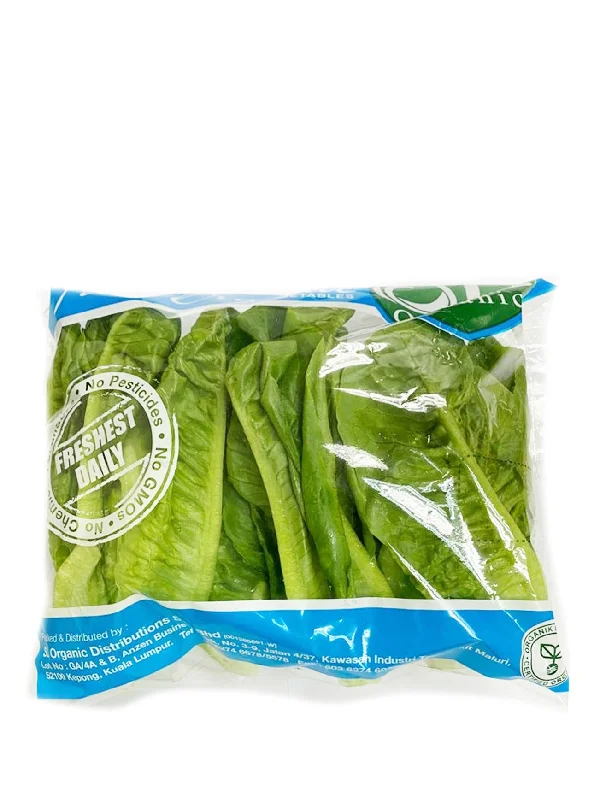 SL ORG SHORT LETTUCE 250G