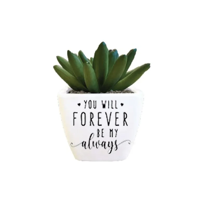 H & H Gifts : Succulent - You Will Forever Be My Always