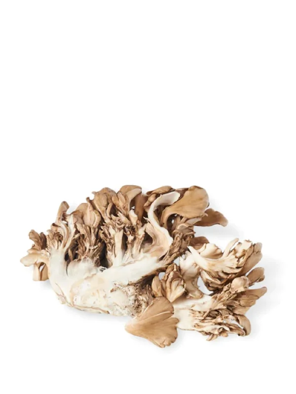 JAPAN MAITAKE 70G