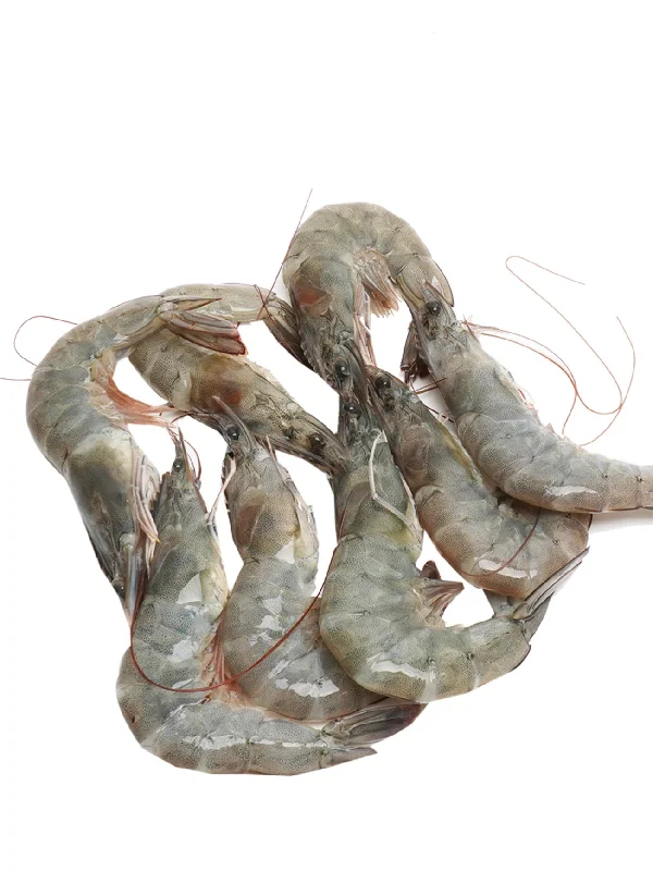 UDANG LAUT BESAR / KING PRAWN L (+/-200G)