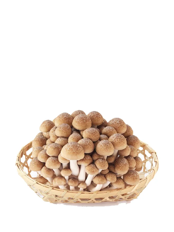 JAPAN BUNASHIMEJI MUSHROOM 100G