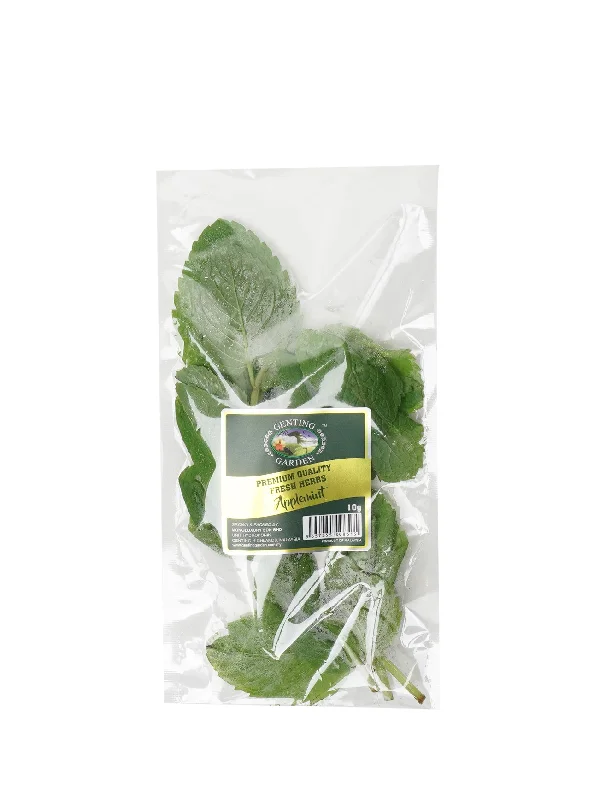 APPLEMINT 10G GG HERBS