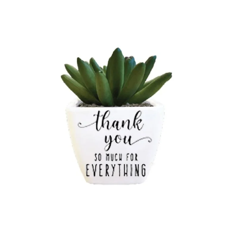 H & H Gifts : Succulent - Thank You So Much For Everything