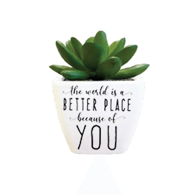 H & H Gifts : Succulent - The World Is Better Place Because Of You