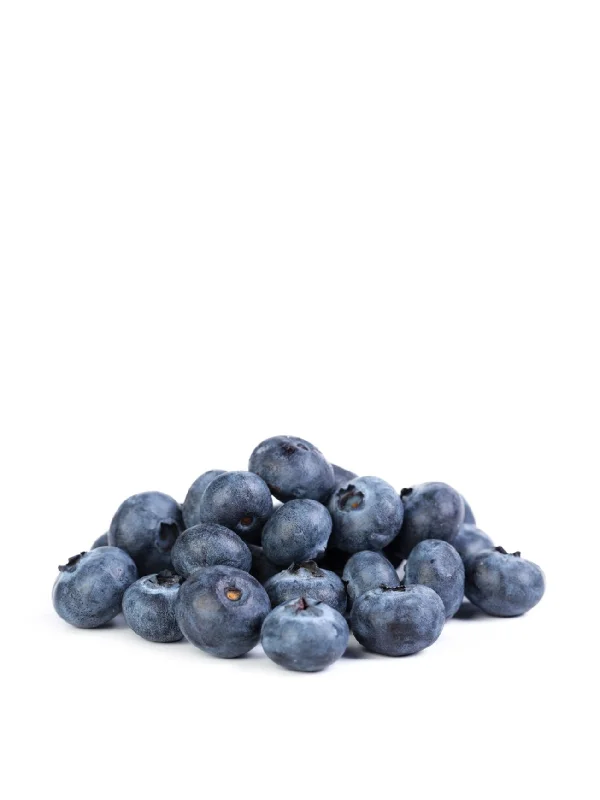 DRISCOLL ORGANIC BLUEBERRY 170G