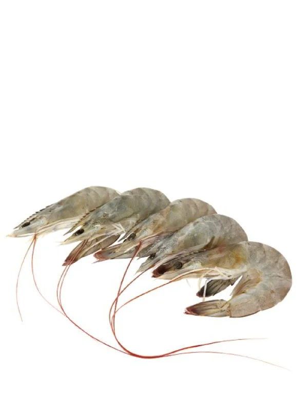 FROZEN KING PRAWN 800G (SIZE:31/40)