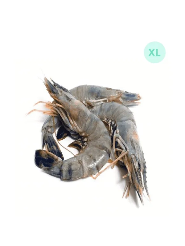 UDANG LAUT BESAR/KING PRAWN SIZE XL (+/-1KG)