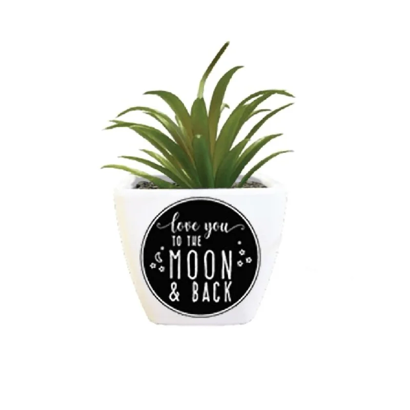 H & H Gifts : Succulent - Love You To The Moon And Back