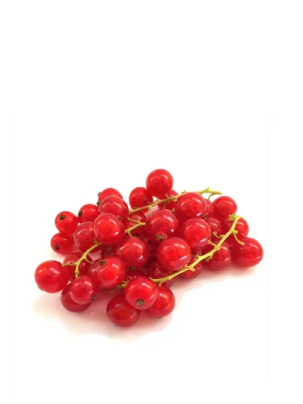 HOLLAND RED CURRANT 125G