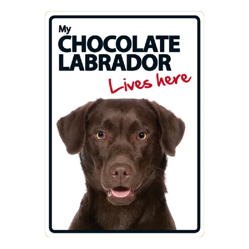 Dog Sign Chocolate Labrador Lives Here