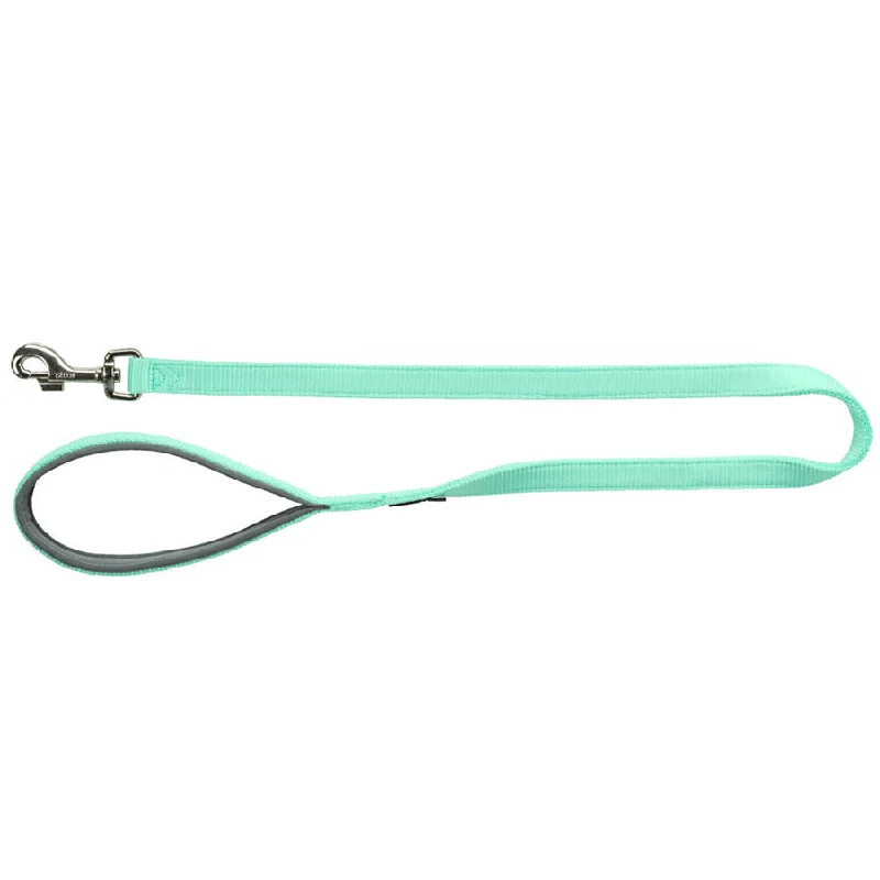 Premium Leash Mint